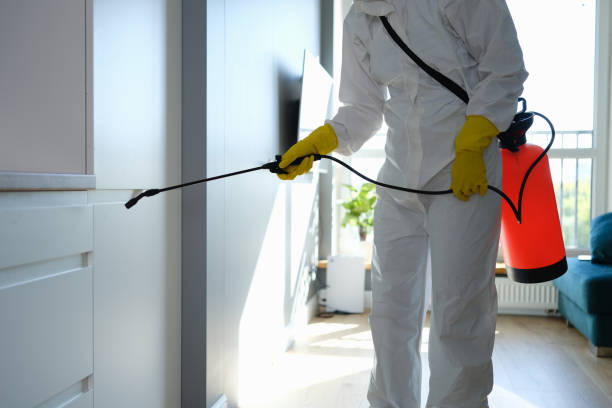 Best Mold Damage Repair  in Wanatah, IN